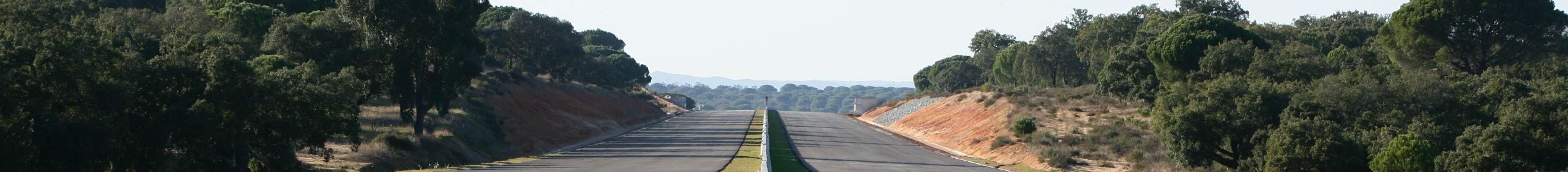 gallery/04dm3632 (1)